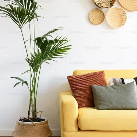 Excellent In The Old City